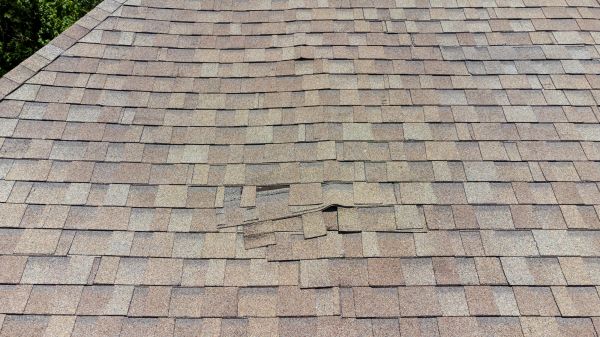 Roof Leak Inspection in Easthampton