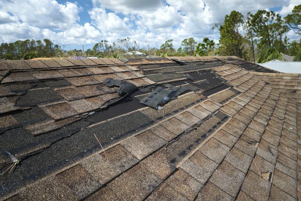 Roof Damage Repair in Easthampton