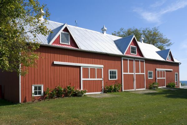 Barn Roof Replacement in Easthampton